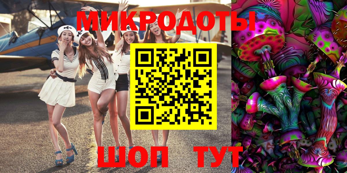 Псилоцибиновые грибы Psilocybe Энгельс