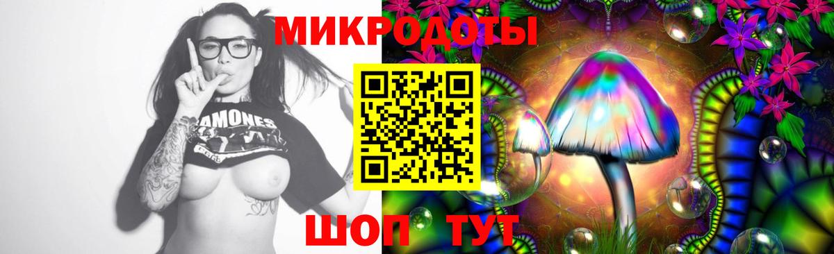 Галлюциногенные грибы прущие грибы  Псилоцибиновые грибы Psilocybe  Вход с VPN  Энгельс 